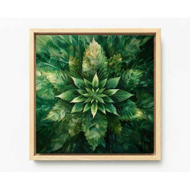 Obraz Rama American Box Mandala List Konopí Zelená Příroda Botanika 60x60