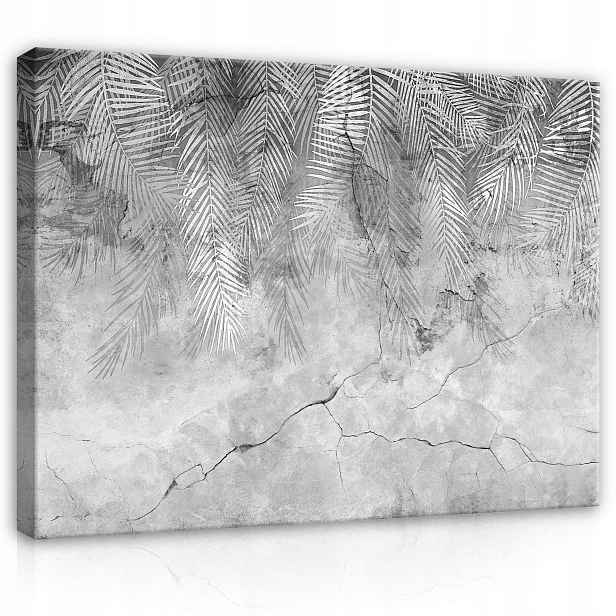 Obraz 120x80 Palmové listy beton textura šedý městský minimalismus
