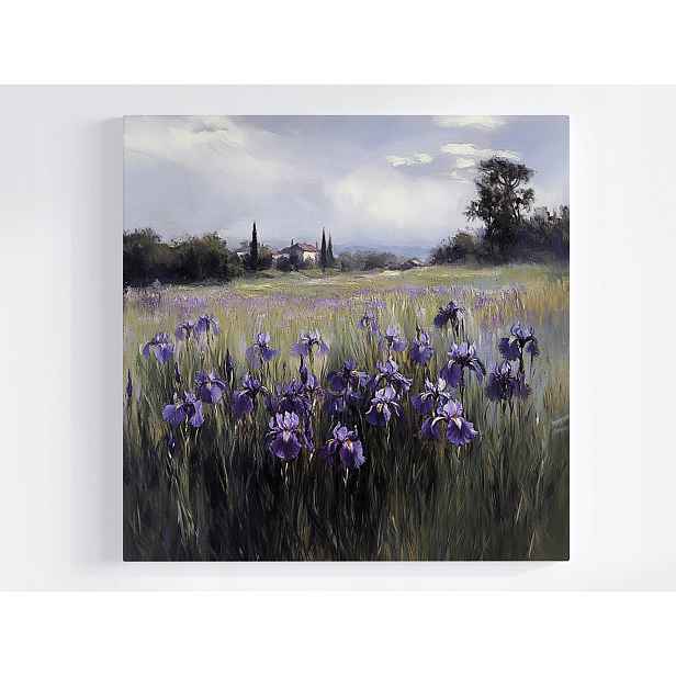 Obraz Na Plátně Canvas Krajina Vesnice Louka Domy Květiny Kosatce 50x50
