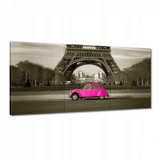 Obrazy 120x60 Růžový Citroen v Paříži