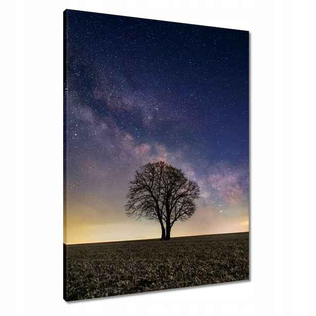 Obrazy 60x80 Osamělý strom a hvězdy