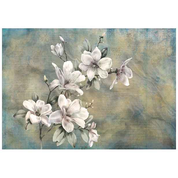 Vliesová fototapeta Magnolie bílé květy pastelové pozadí 300x210 lepidlo
