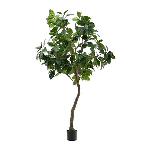Umělý fíkus (výška 210 cm) Ficus – Kave Home