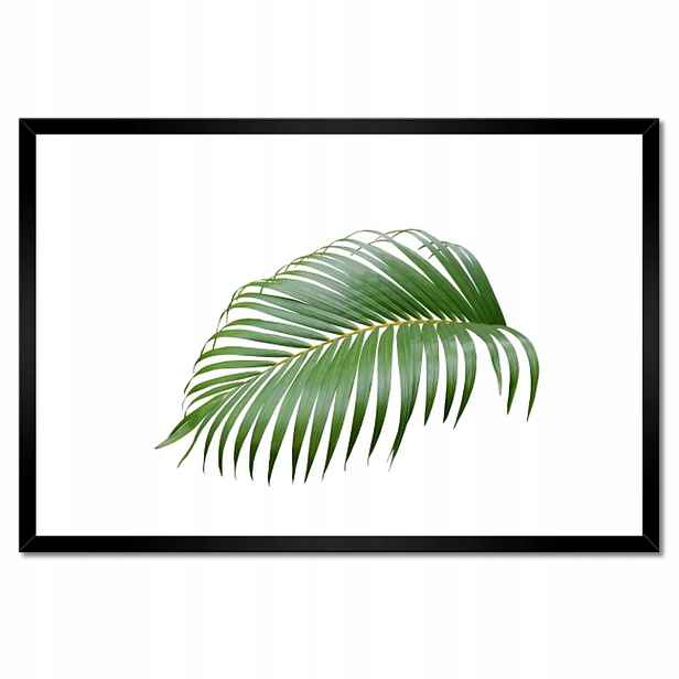 Plakáty v rámu 60x40 Zelený list Minimalismus