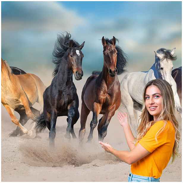 Fototapeta 3D Zvířata Kůň Koně 588x260 KK16W