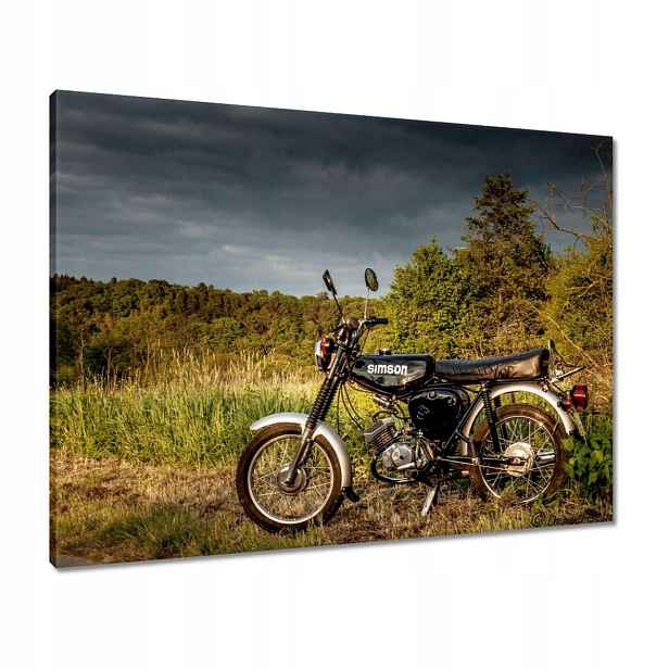 Obrazy 80x60 Černý Simson čtyřka 4