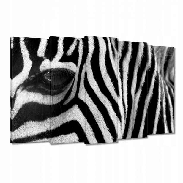 Obrazy 150x95 Černobílé pruhy Zebra
