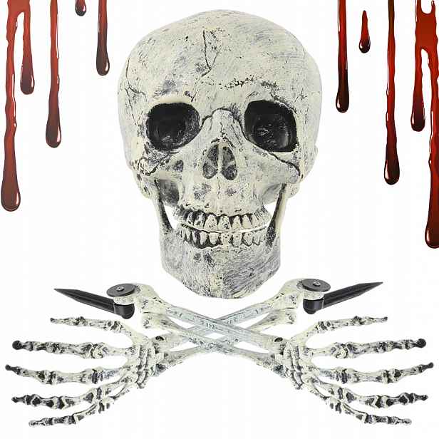 Zaživa Pohřbená Lebka Pro Zdobení Zahrady Na Halloweenskou Párty
