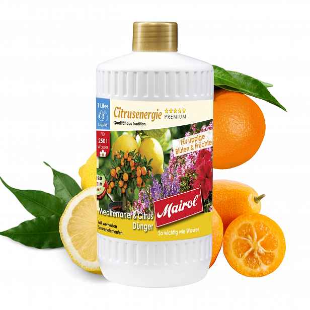 Citrusenergie Mairol 1L – hnojivo pro citrusové rostliny
