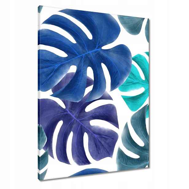 Obrazy 60x80 Monstera Listy Modrá