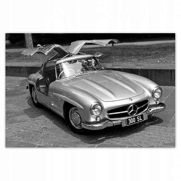Fototapety 104x70 Mercedes Gullwing 300SL