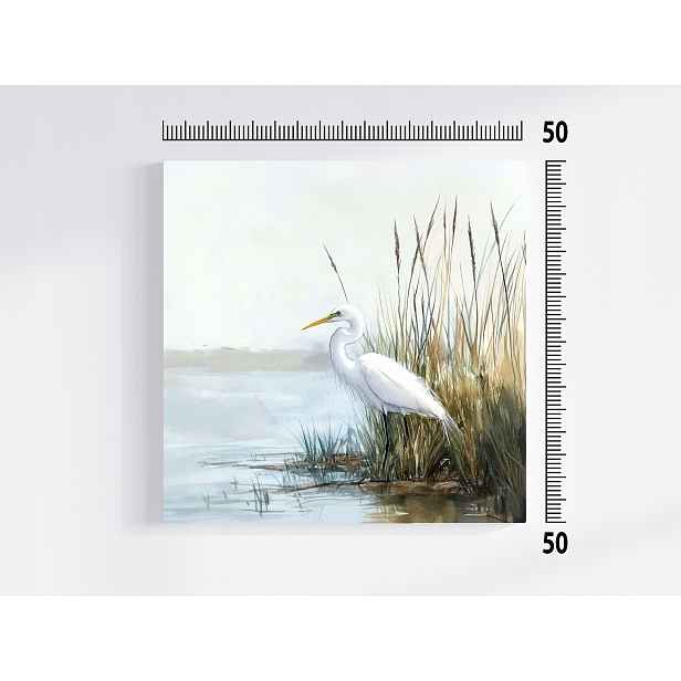 Obraz Na Plátně Canvas Příroda Bílá Čapka Pták Jezero 50x50