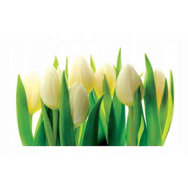 Fototapeta Tulipány Květiny 3D Tapeta Ložnice Obývací Pokoj Flizelina 368x254