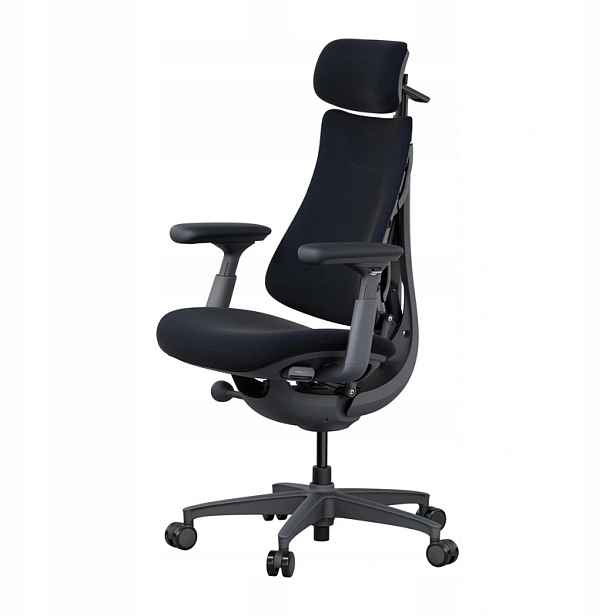 Ergonomické křeslo LiberNovo Omni 48cm (černé)