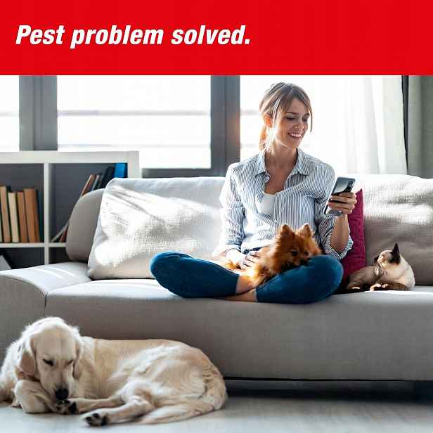 Swissinno Velká past na potkany SuperCat pasti na potkany