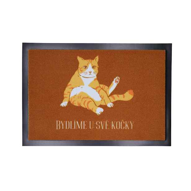 Rohožka Bydlíme u své kočky 40x60 cm, 40x60, oranžová, Mercury Flooring