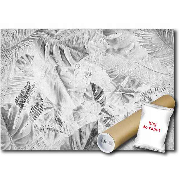 Fototapeta Grafika Liście 15B V8 368x254 F13701