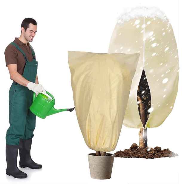Ochranný návlek na zimní rostliny Kapuce Vícenásobná Bílá 240*200 cm 2ks