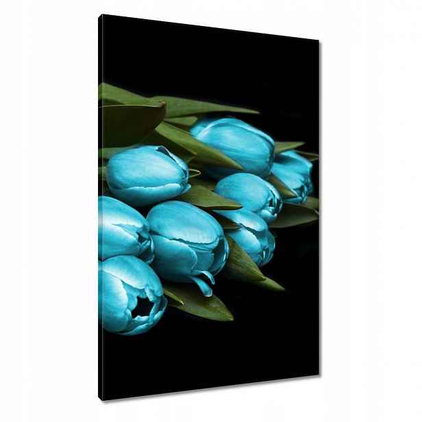 Obrazy 60x90 Tyrkysové tulipány Květina