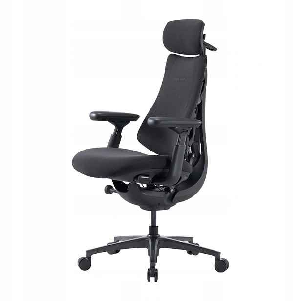 Ergonomické křeslo LiberNovo Omni Pro 48 cm (grafitové)