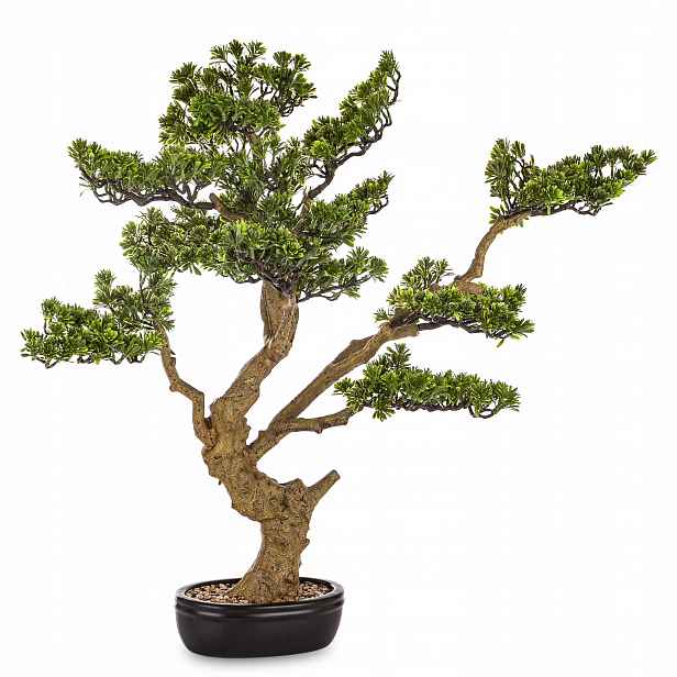 Dekorativní zelená rostlina v květináči, hnědá umělý květ stromek bonsai