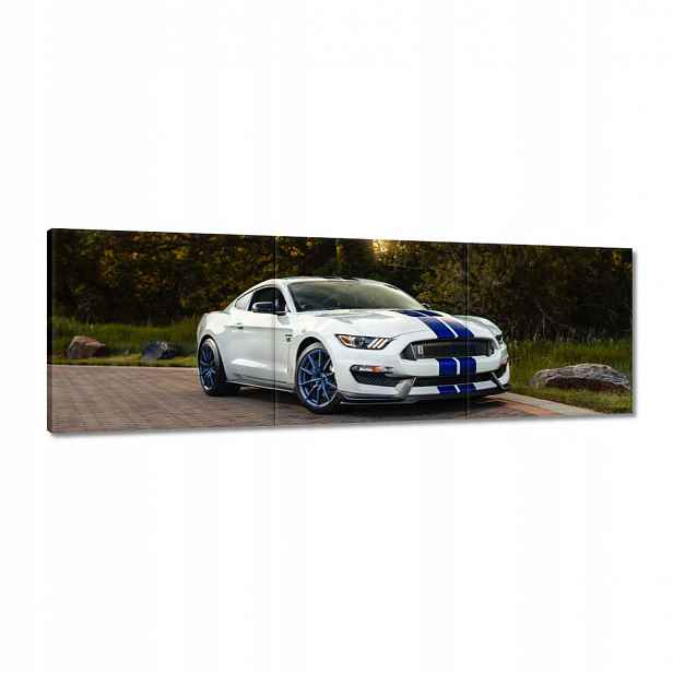 Obrazy 120x40 Ford Mustang Auto Usa