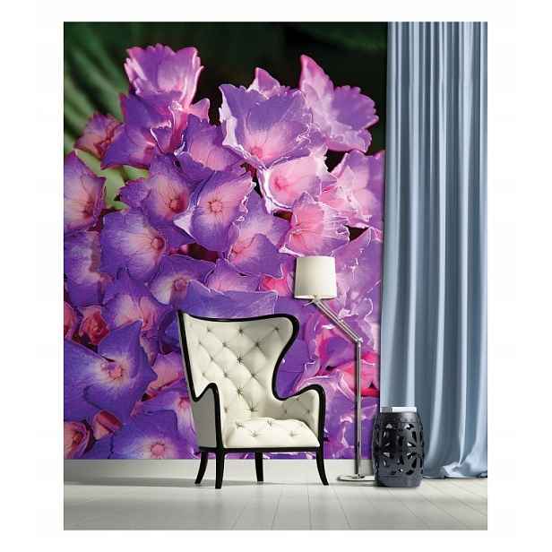 Fototapeta Hortenzie Fialová-Růžová vinylová 184x254 lepidlo