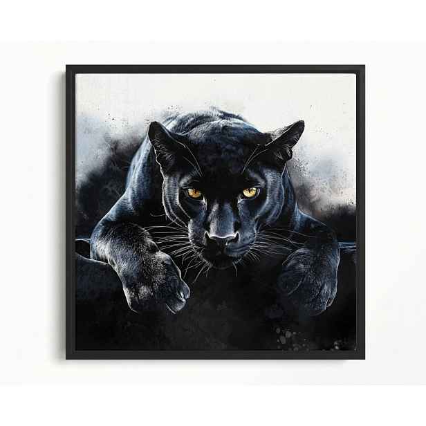Obraz Rám Americká Krabička Příroda Portrét Černá Kočka Puma Drapieżnik 60x60