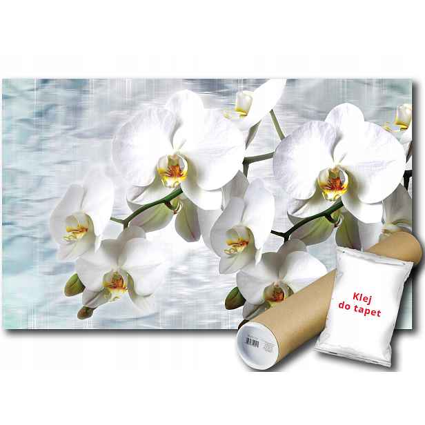Fototapeta Bílé Orchideje 9D Fxl 208x146 F1667