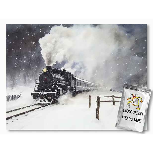 Fototapeta Flizelina Vlak Lokomotiva Parovoz Zima Sníh 416x254 130g