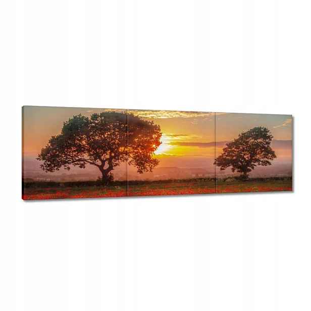 Obrazy 120x40 Maki na poli Krajina