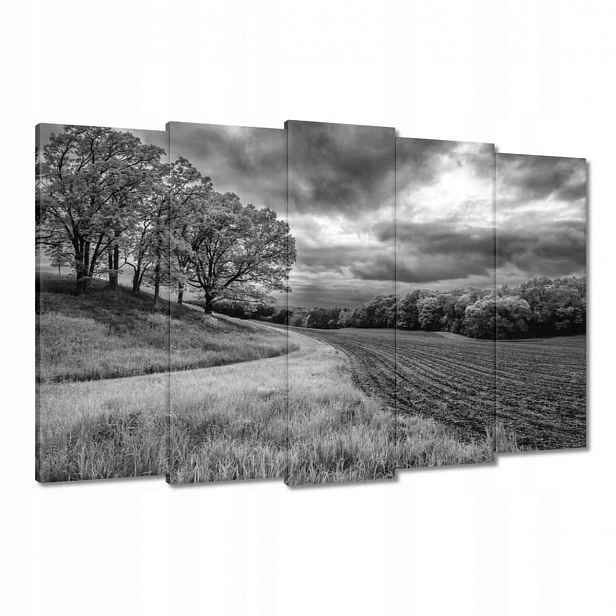 Obrazy 150x95 Černobílé pole