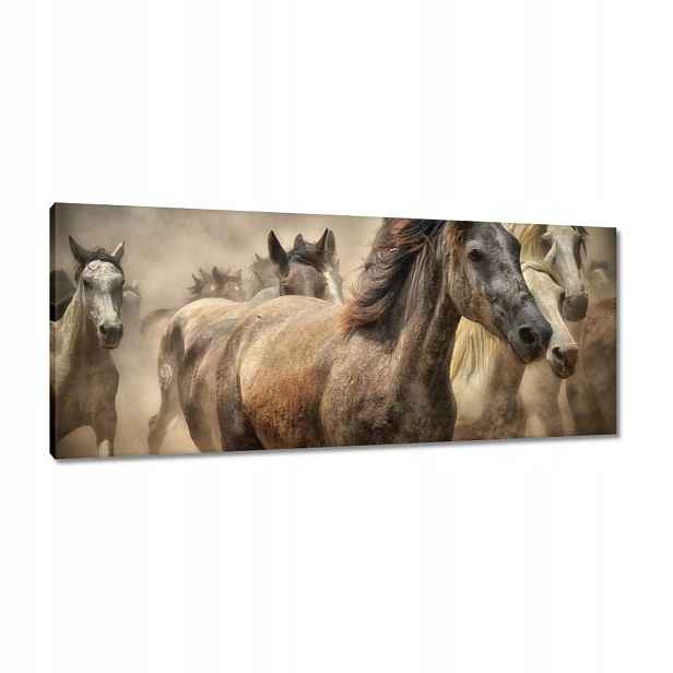 Obrazy 100x40 Divocí koně Koníci Galop