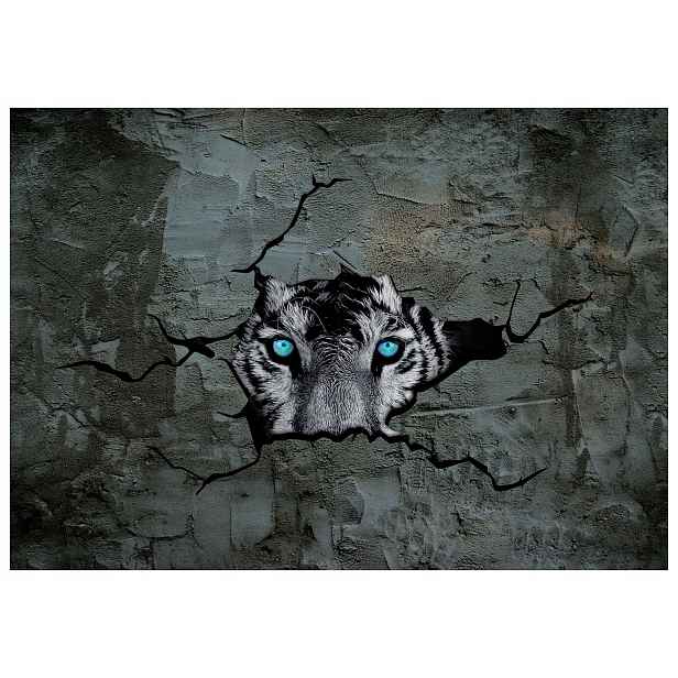 Fototapeta Bílý tygr ledový pohled na zeď 208x146 lepidlo
