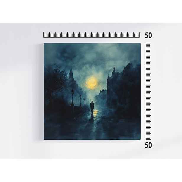 Obraz Na Plátně Canvas Město Ulice Měsíc Noc Temnota Procházka 50x50