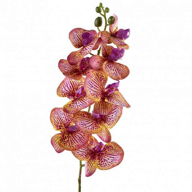 Mondex UMĚLÁ ORCHIDEJ Viridis, 90 cm