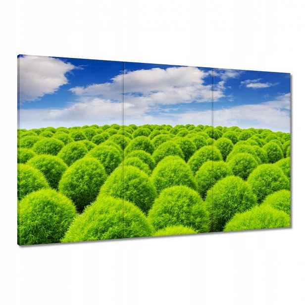 Obrazy 120x80 Zelený pohled Dolina