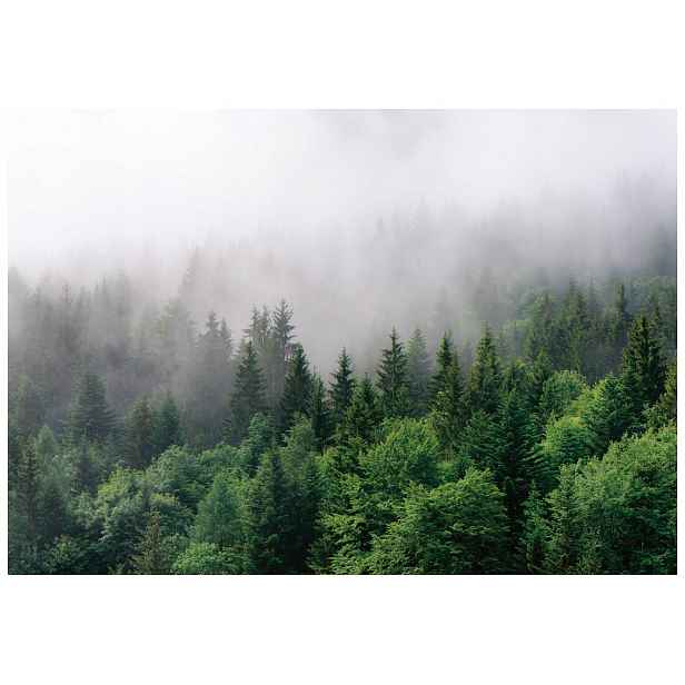 Vliesová fototapeta Mlžný les Tajemná lesní hloubka 208x146 lepidlo