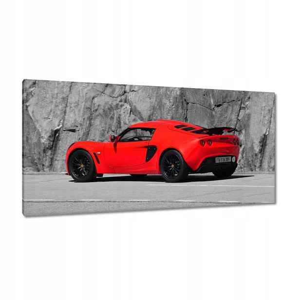 Obrazy 115x55 Červený Lotus