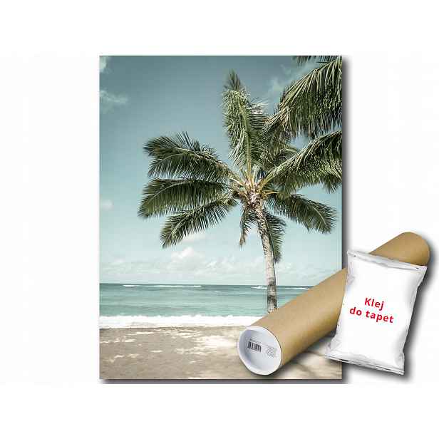 Fototapeta Pláž Palma 3A Panxl 206x275 F13351