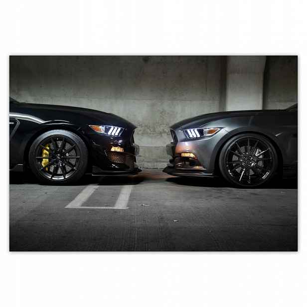 Fototapety flizelina 152x104 Obličej na obličej Mustang