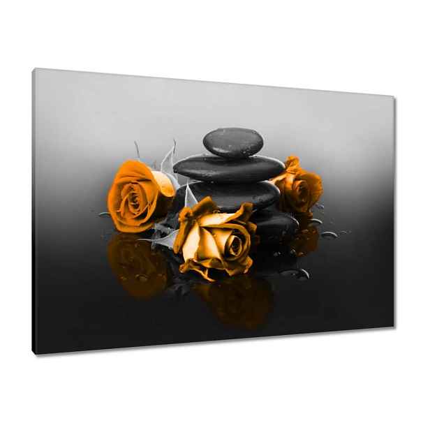 Obrazy 100x70 Oranžová růže Spa