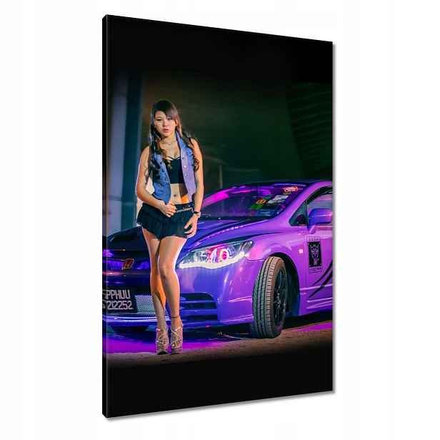 Obrazy 60x90 Hůlka u Hondy Honda