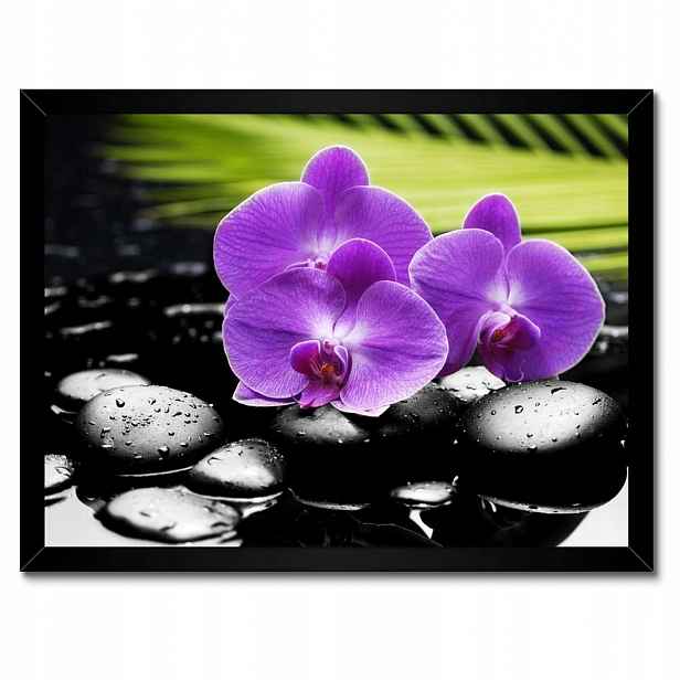 Plakáty v rámu 40x30 Fialové orchideje