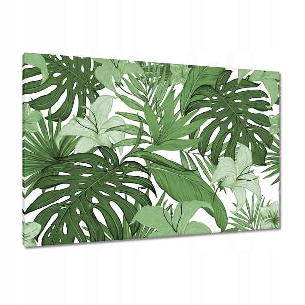 Obrazy 120x80 Monstera Moderní vzor