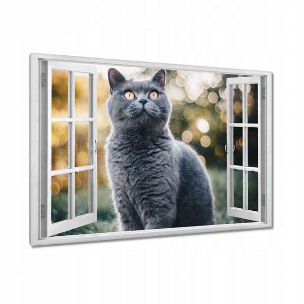 Obrazy 90x60 Svádějící kočka kotě