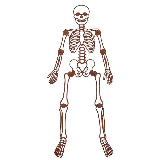 Kovový pohyblivý Kostlivec zahradní ozdobný skelet Halloween rez 130 cm
