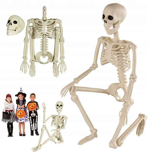 Kostra Člověka 94 CM Pohyblivé Rybníky Strašidelná Figurka Halloween Dárek