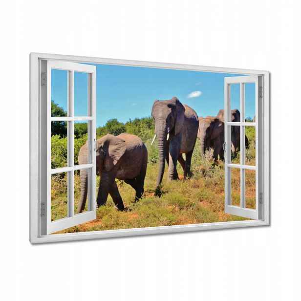 Obrazy 90x60 Putování slonů
