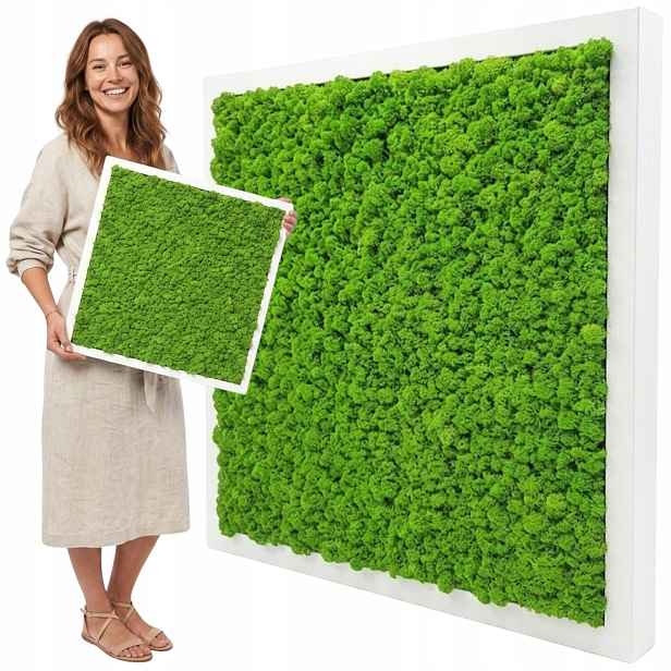 Obraz Z Mechu v dřevěném rámu 50x50 cm mech chrobotek Dekorace z mechu